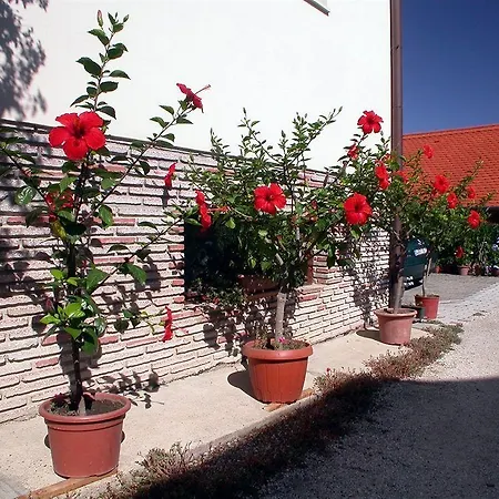 Apartamento Therme Apartmenthaus *