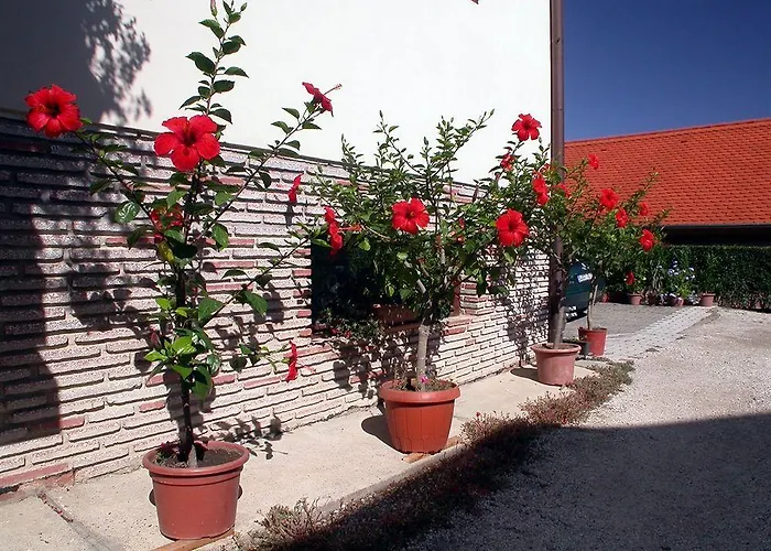 דירה Therme Apartmenthaus *